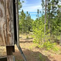 140.00 Acres - Tract 2 - Red Hill Retreat images 5