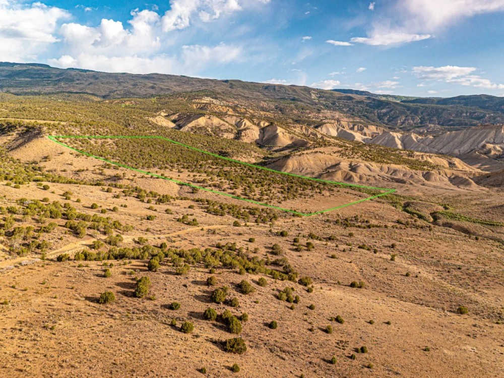 Colorado Property with National Forest Access featured image