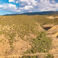 Colorado Property with National Forest Access images 5