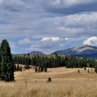33,116 Acres of Colin Neblett WMA for hunting Elk in Colfax, NM images 1