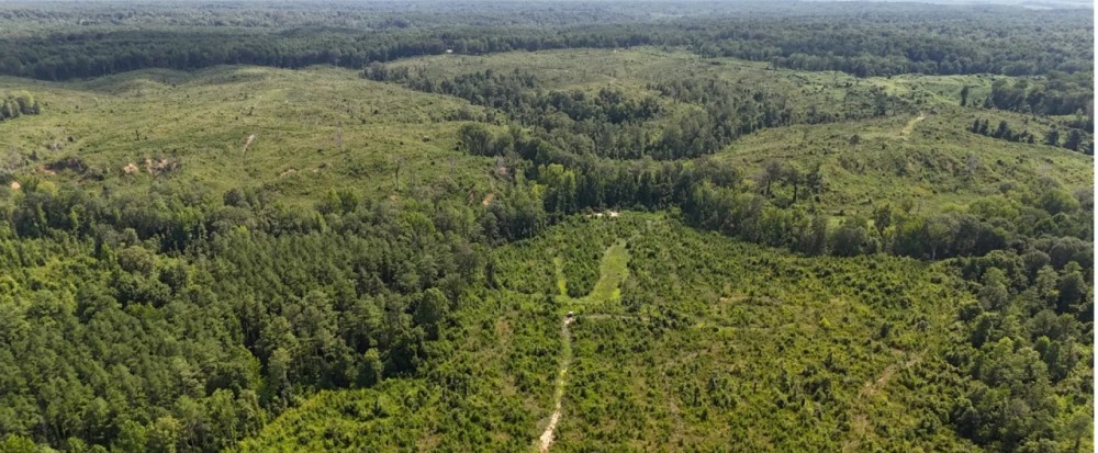 331.4 Acres in Carroll County in Greenville MS featured image