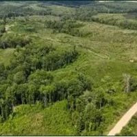 331.4 Acres in Carroll County in Greenville MS images 2