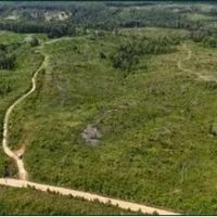 331.4 Acres in Carroll County in Greenville MS images 3