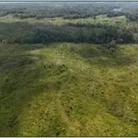 331.4 Acres in Carroll County in Greenville MS images 4