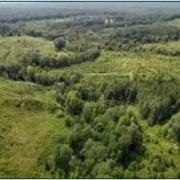 331.4 Acres in Carroll County in Greenville MS images 5