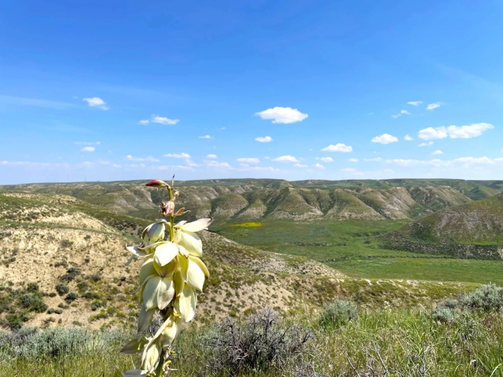 MARIAS RIVER SPORTING RANCH featured image