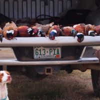MARIAS RIVER SPORTING RANCH images 4