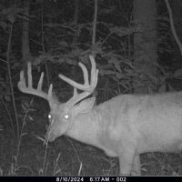 36 - ACRES CLAYPOOL IN KOSCIUSKO COUNTY POTENTIAL BUILDING SITE RECREATIONAL LAND FOR SALE images 2