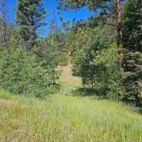 40 acres Cimarron Ranch images 2