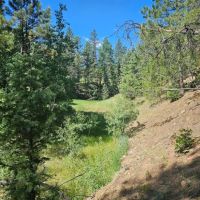 40 acres Cimarron Ranch images 3
