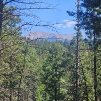 40 acres Cimarron Ranch images 4