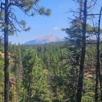 40 acres Cimarron Ranch images 5