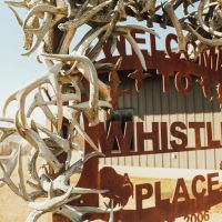 1 200 Acres at Whistle Place Farm in Phillips County AR images 2