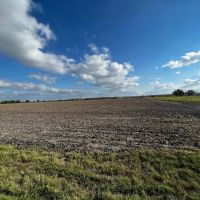 Thorndale Farm Ag Exempt Unrestricted in Milam County images 2