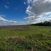 Thorndale Farm Ag Exempt Unrestricted in Milam County images 3
