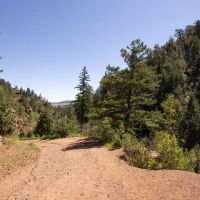 Palmer Lake Retreat images 3