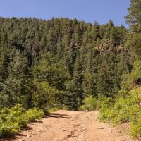 Palmer Lake Retreat images 4