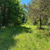 167 - Ac Pendleton Co KY images 4