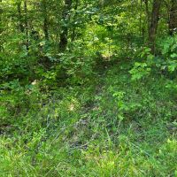 167 - Ac Pendleton Co KY images 5