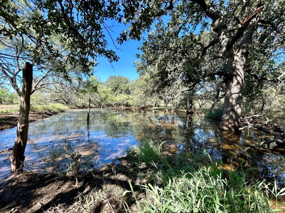 New Listing 31 - Acres Brown County featured image