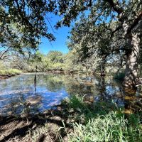 New Listing 31 - Acres Brown County