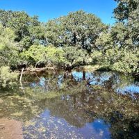 New Listing 31 - Acres Brown County images 2