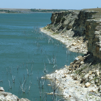 11,000 acres of Cedar Bluff WMA for hunting Deer in Ellis, KS