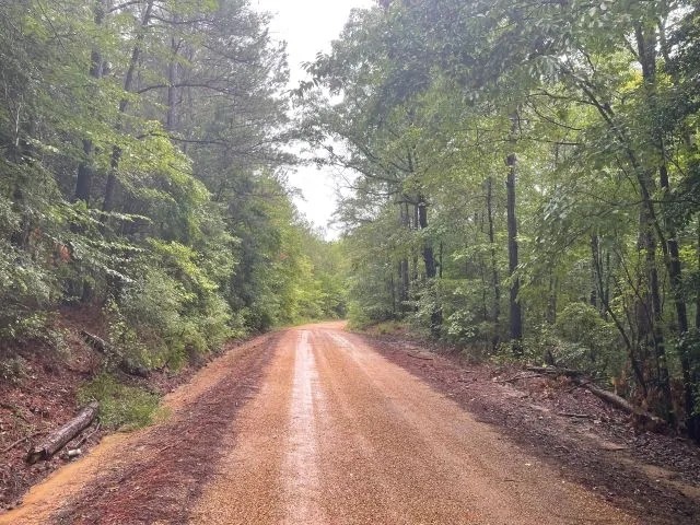 Rickman Tract featured image