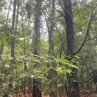 Rickman Tract images 2