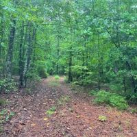 Rickman Tract images 4