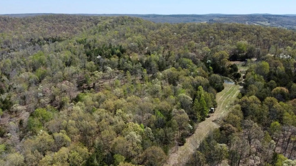 The Mountain at Homesteader s Spring featured image