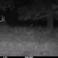 Quail Ridge images 2