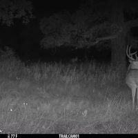 Quail Ridge images 3