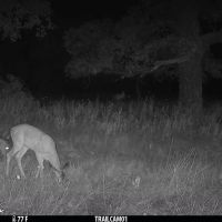 Quail Ridge images 4