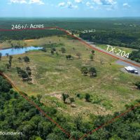 1547 E State Hwy 204 images 4