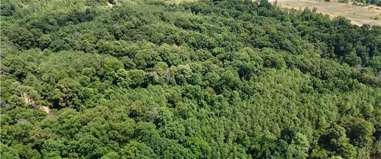39.8 Acres in Carroll County in Greenwood MS featured image