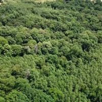 39.8 Acres in Carroll County in Greenwood MS images 1