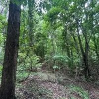 39.8 Acres in Carroll County in Greenwood MS images 4