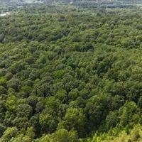 39.8 Acres in Carroll County in Greenwood MS images 5