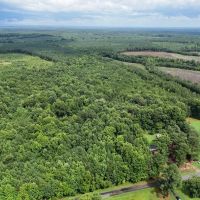 9.1 Acres of Recreational and Residential Land For Sale in Brunswick County VA images 3
