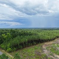 9.1 Acres of Recreational and Residential Land For Sale in Brunswick County VA images 4