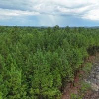 9.1 Acres of Recreational and Residential Land For Sale in Brunswick County VA images 5