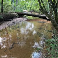 700 - Acres Butler Co images 2