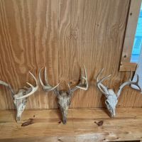 700 - Acres Butler Co images 3