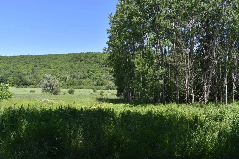 Fabulous Farrington Hollow featured image