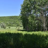 Fabulous Farrington Hollow