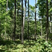 Fabulous Farrington Hollow images 2