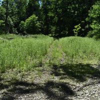 Fabulous Farrington Hollow images 4