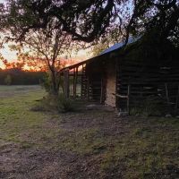 W Ranch Fischer Store images 3