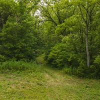 East Tennnesse Hunting Property for Sale Hawkins County images 2